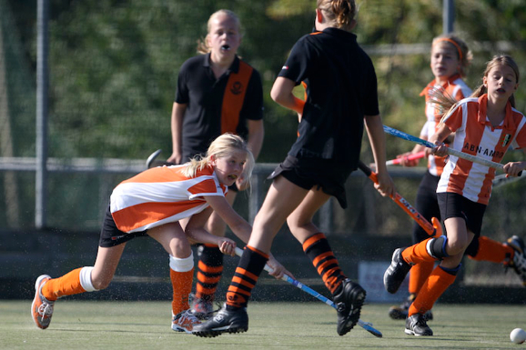 HIC_Kraaien_5_0_376