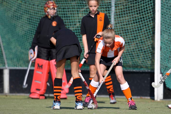HIC_Kraaien_5_0_476