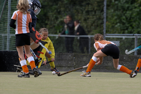 Terriers_Hic_2_4_54
