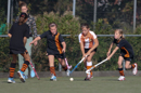HIC_Kraaien_5_0_294