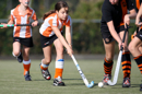 HIC_Kraaien_5_0_590