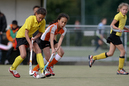 Terriers_Hic_2_4_235