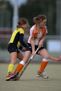 Terriers_Hic_2_4_337