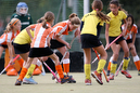 Terriers_Hic_2_4_377