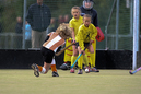 Terriers_Hic_2_4_38