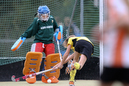 Terriers_Hic_2_4_481